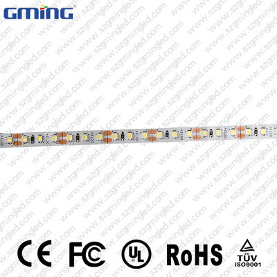 Multicolor no impermeable de las luces de tira de 24V LED con el adaptador dominante del telecontrol de 44 IR