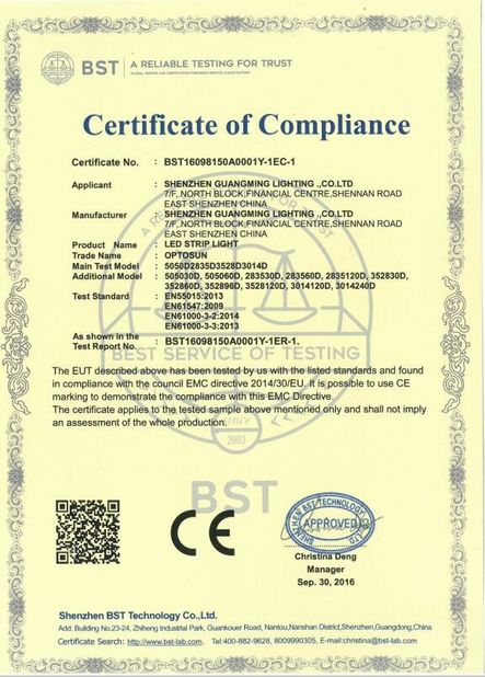 China Shenzhen GM lighting Co.,Limited. Certificaciones